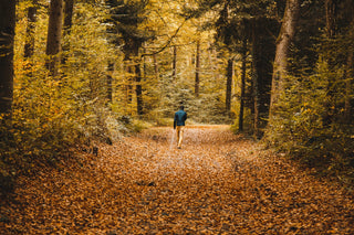 A man hiking in the woods with beautiful foliage all around