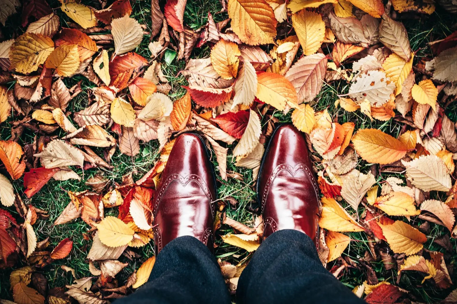A pair of burgundy dress shoes with brogueing